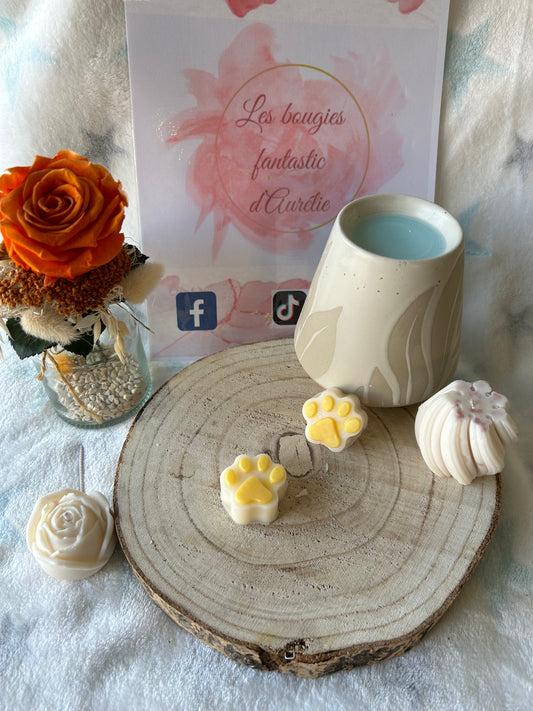 Fondant pattes animaux ADORATION