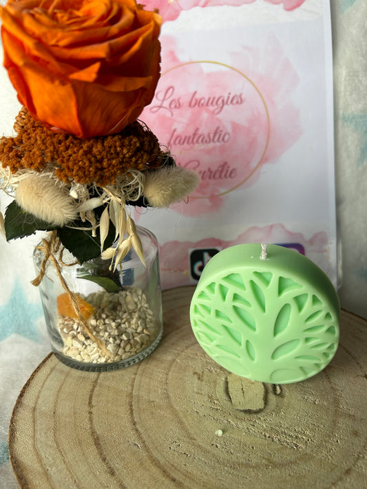 Bougie Arbre De Vie Citronnelle Géranium