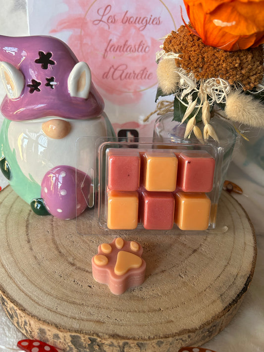 FONDANTS PATTES ANIMAUX MONOI ABRICOT