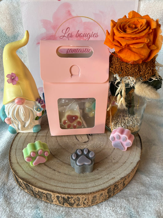 Le coffret Découverte