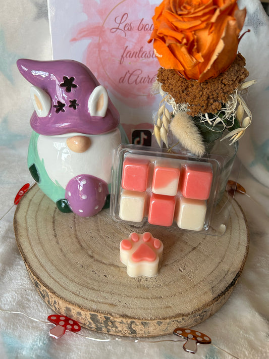 FONDANTS PATTES ANIMAUX MONOI FRAISE