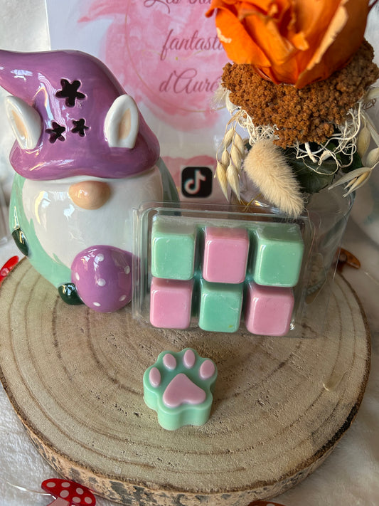 FONDANTS PATTES ANIMAUX MONOI FRAMBOISE